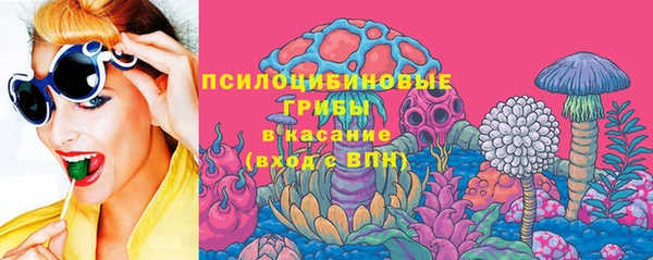 молекула духа Краснослободск