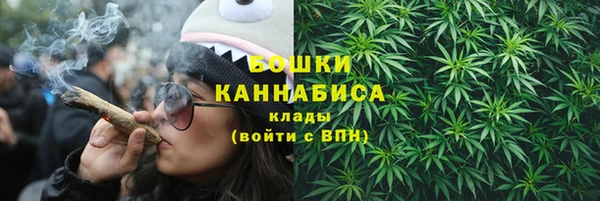 молекула духа Краснослободск