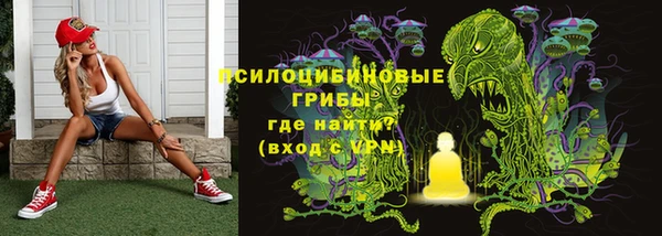молекула духа Краснослободск