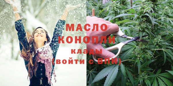 молекула духа Краснослободск