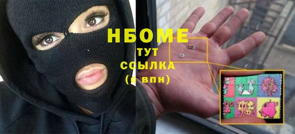 молекула духа Краснослободск