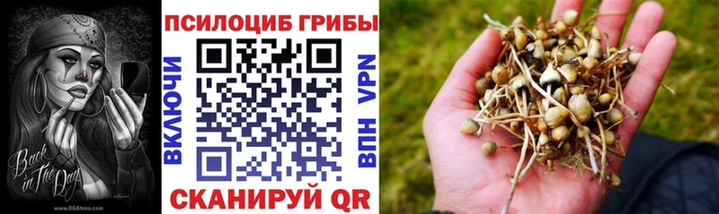 Галлюциногенные грибы Magic Shrooms  Ангарск 