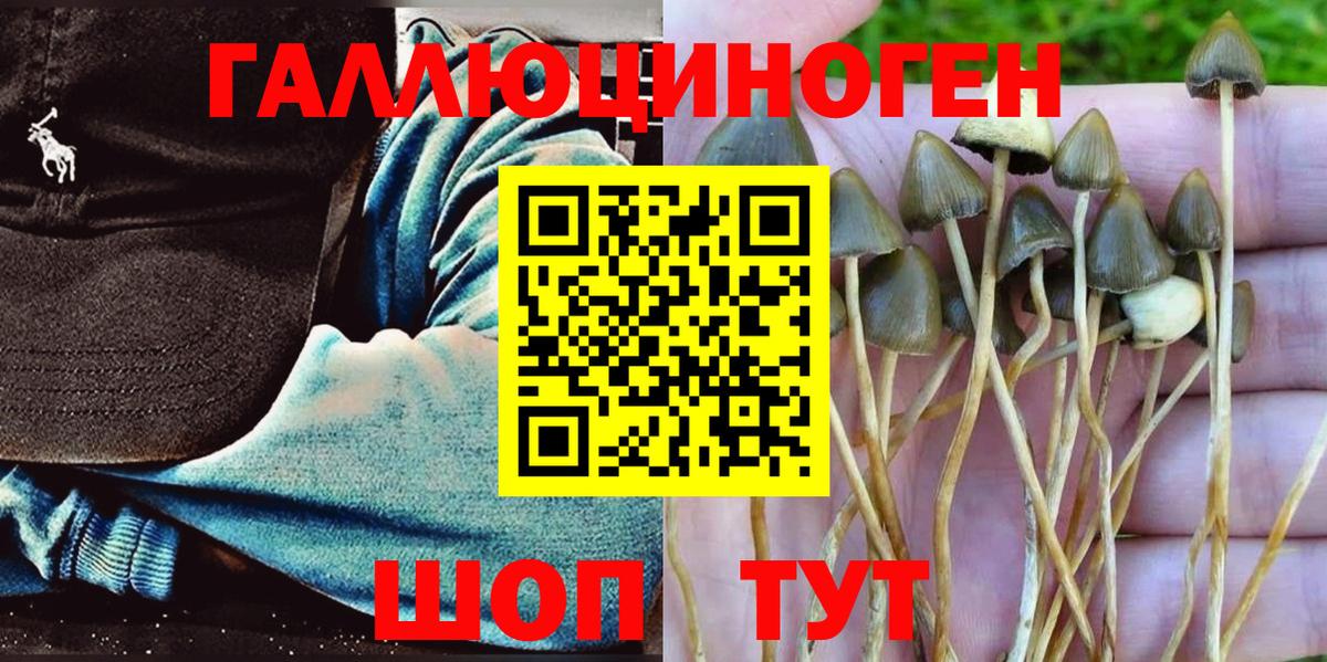Галлюциногенные грибы GOLDEN TEACHER  Вход с VPN  Ангарск 